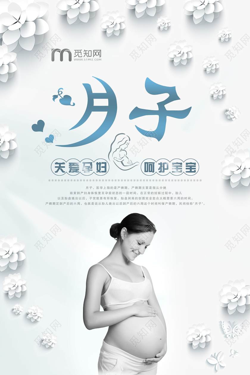 简单大气浅灰月子中心手绘花孕女宣传海报