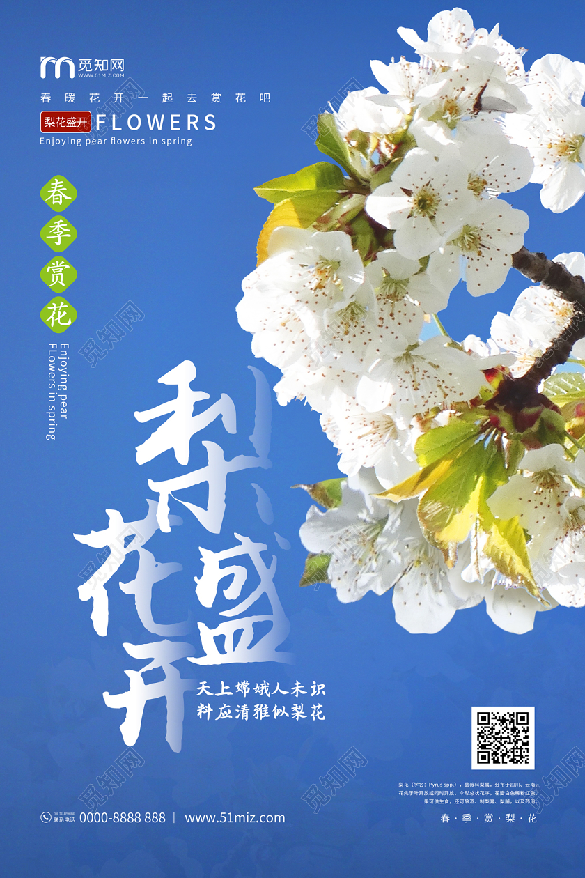 蓝色清新简约大气梨花盛开春季赏花梨花海报