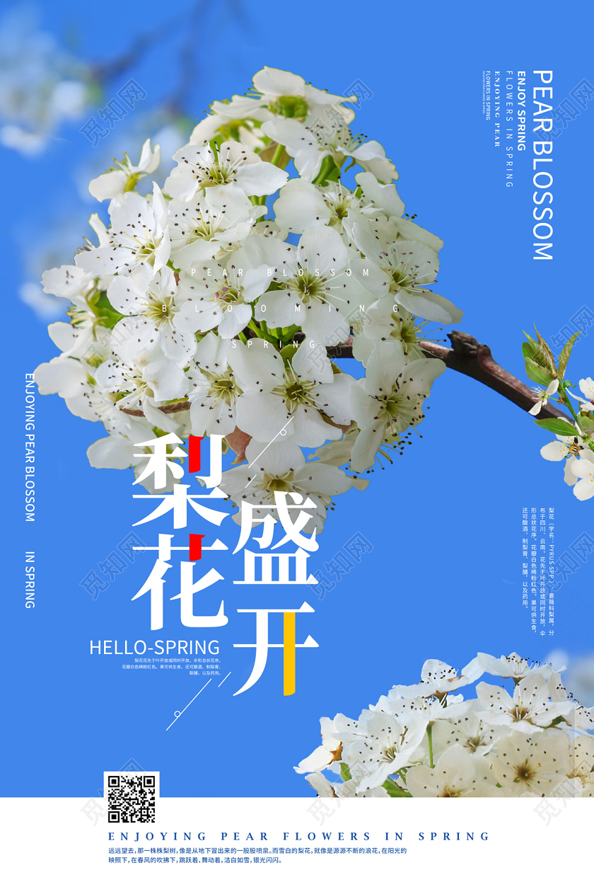 蓝色清新梨花盛开春季赏花梨花宣传海报梨花海报
