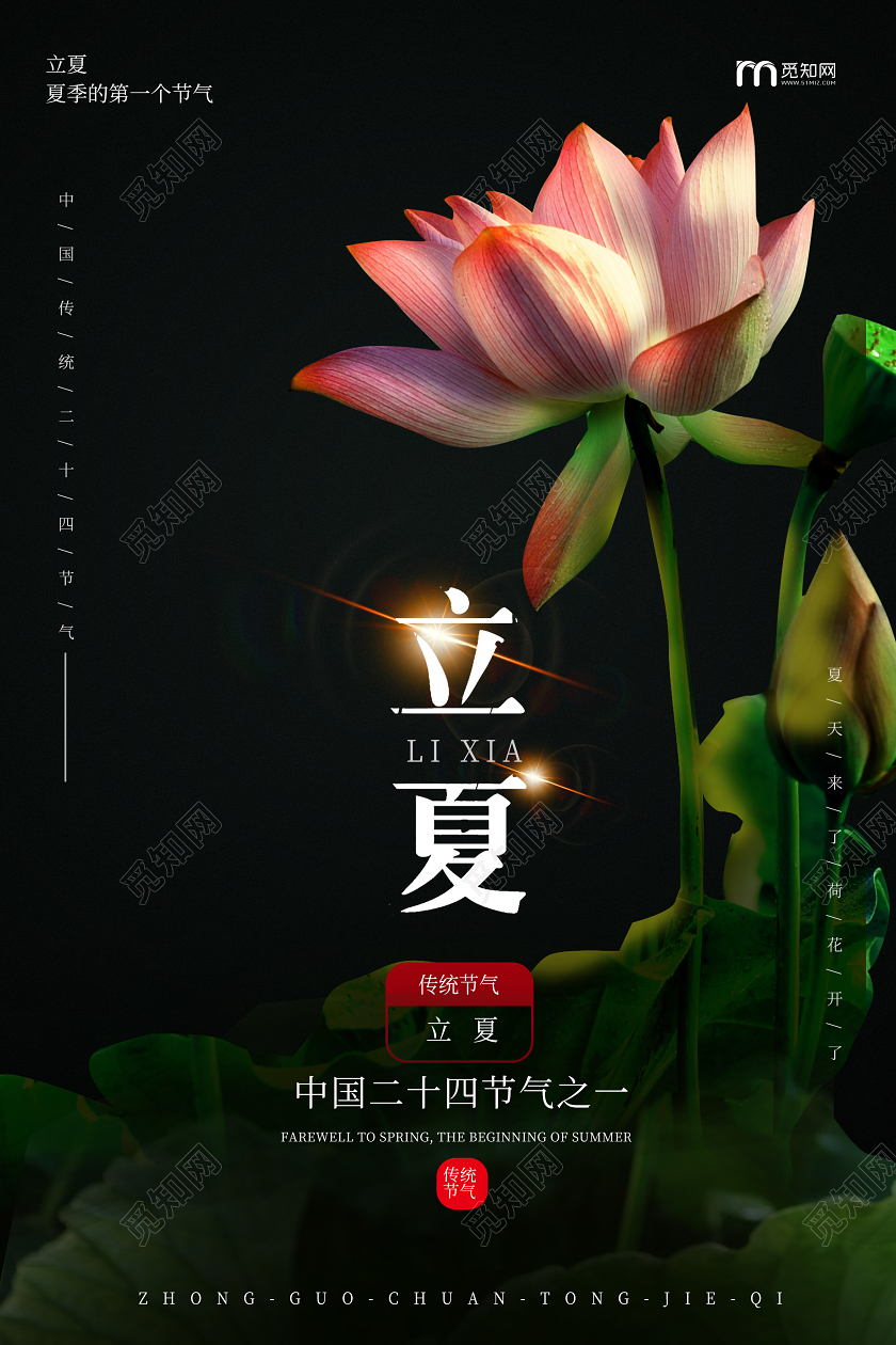 黑色简洁大气创意中国二十四节气之立夏海报二十四节气立夏