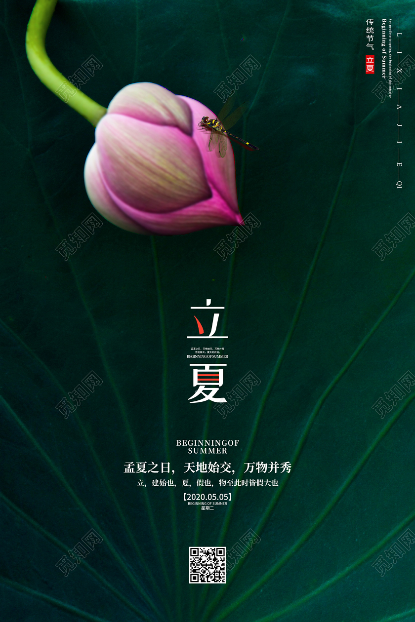创意简约实拍风格传统二十四节气立夏节气海报
