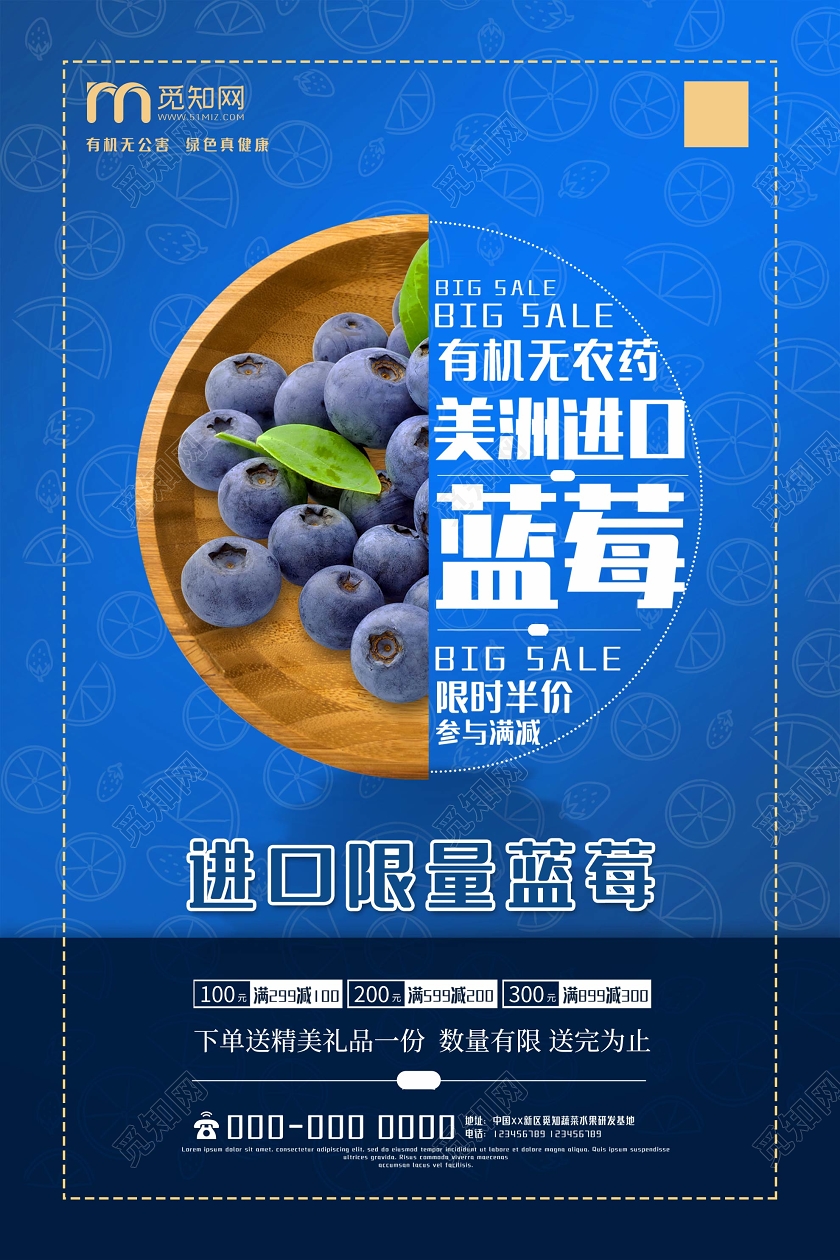 蓝色简约进口限量蓝莓水果促销海报