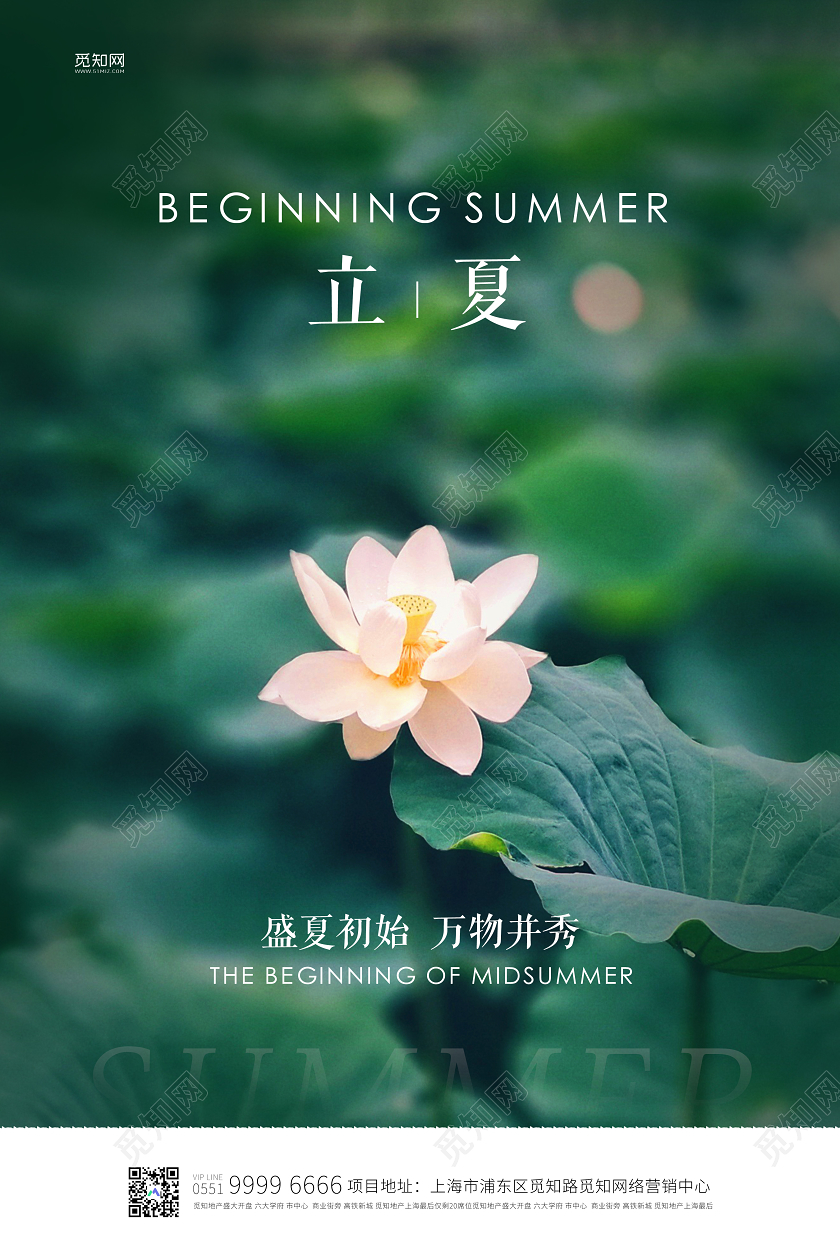 绿色简约二十四节气立夏盛夏初始宣传海报