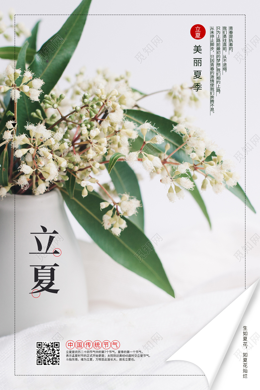立夏传统节气小清新夏天插花花瓶海报