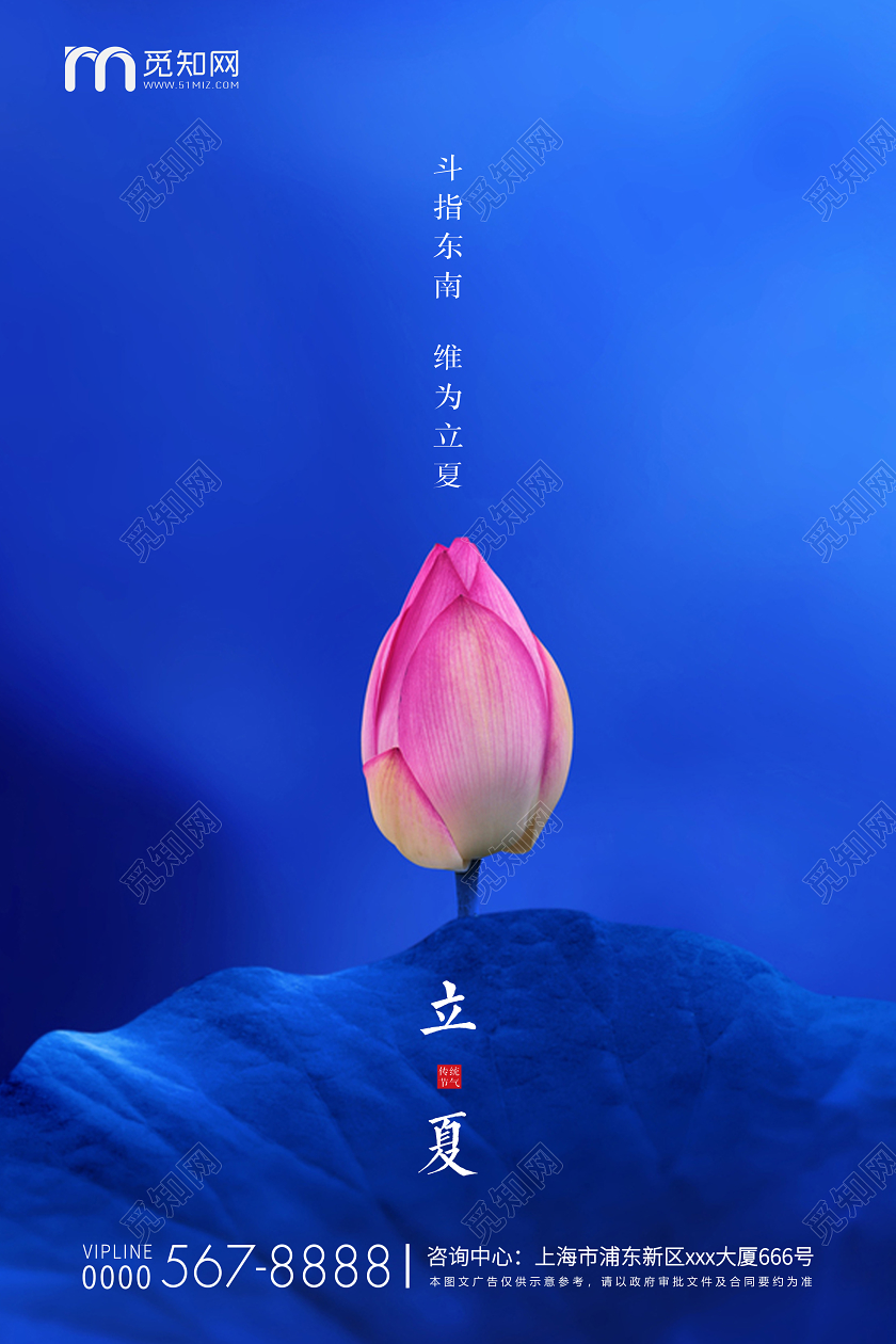 深蓝简约荷花立夏节气房地产宣传海报