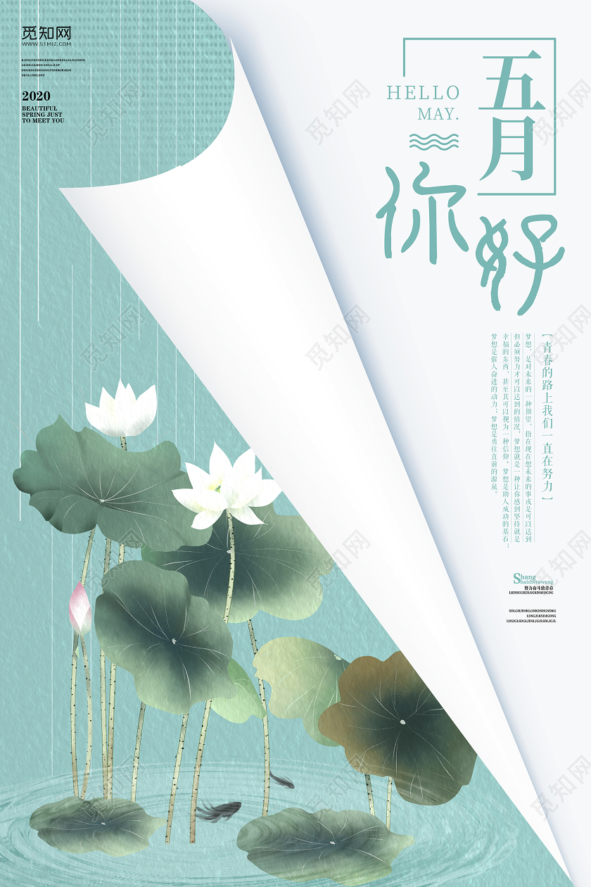 中国风荷花荷叶手绘水彩五月你好插画宣传海报