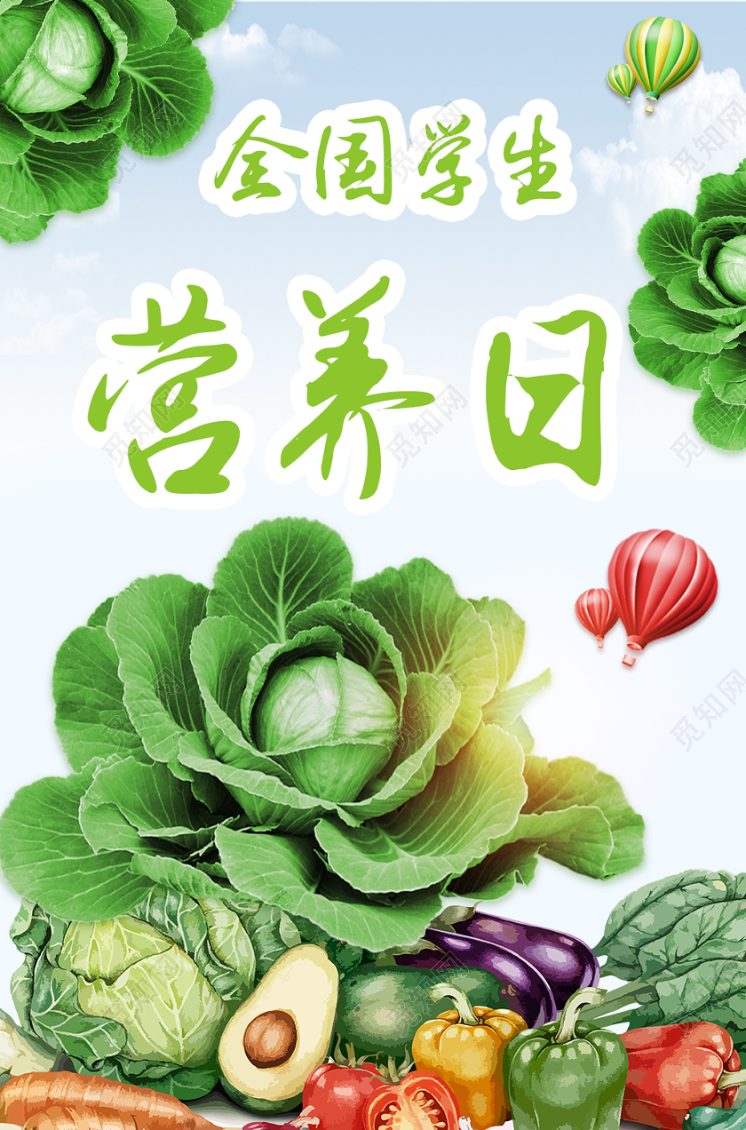 蓝色天空背景全国学生营养日宣传海报