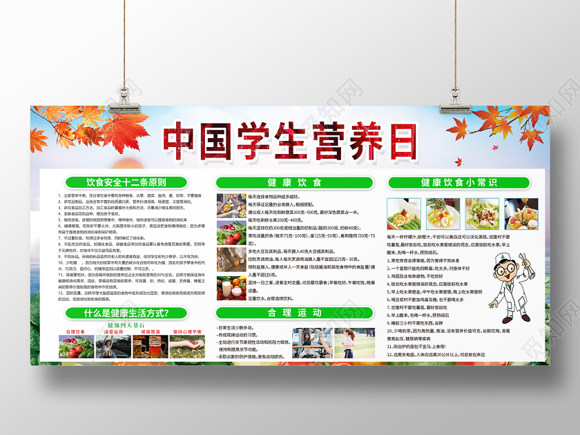 蓝色简约清新全国学生营养日宣传展板