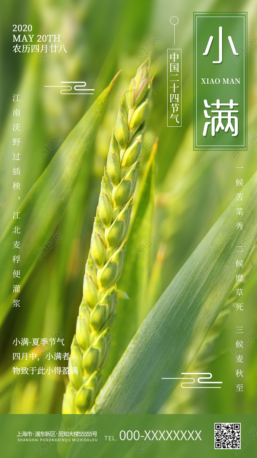 绿色清新二十四节气小满手机UI海报二十四节气小满ui