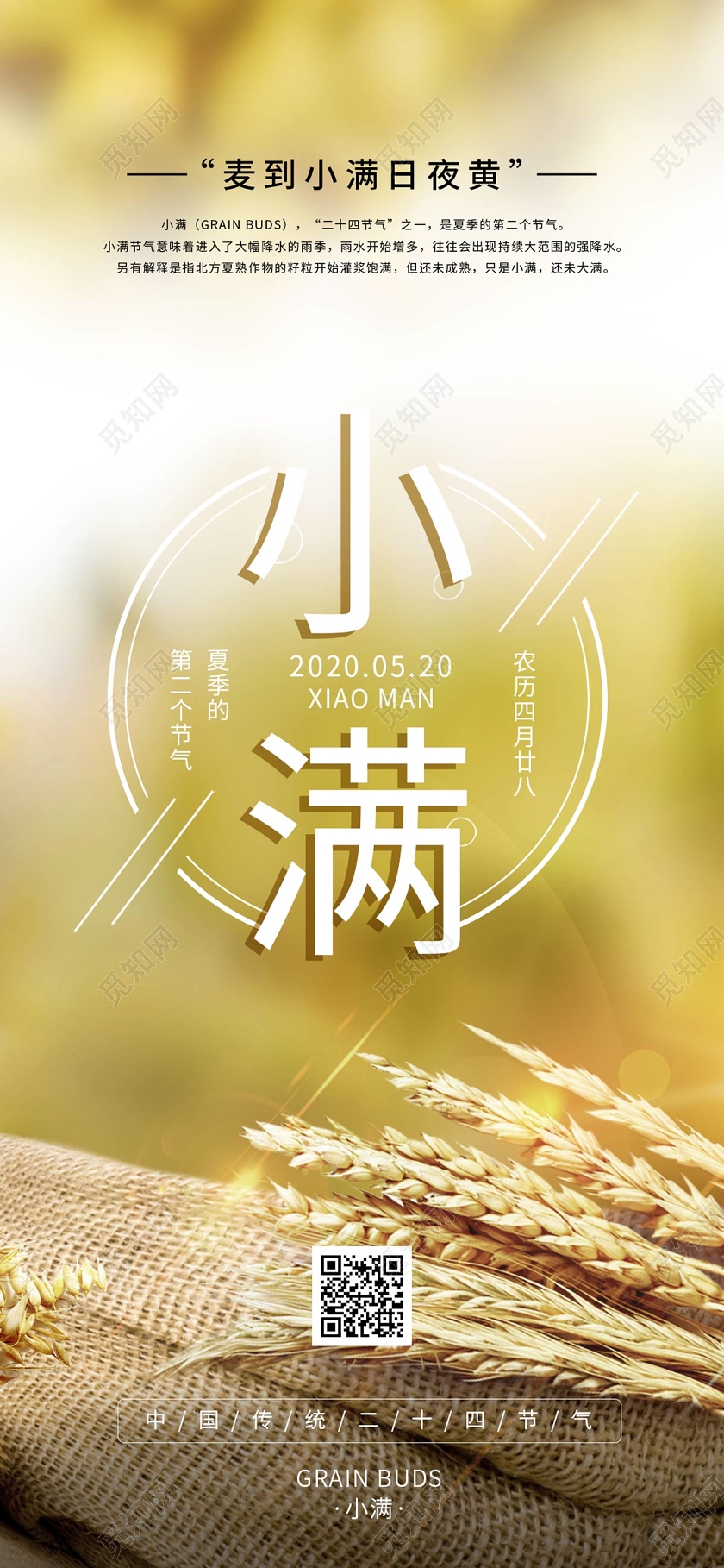 简约清新麦子二十四节气小满手机海报