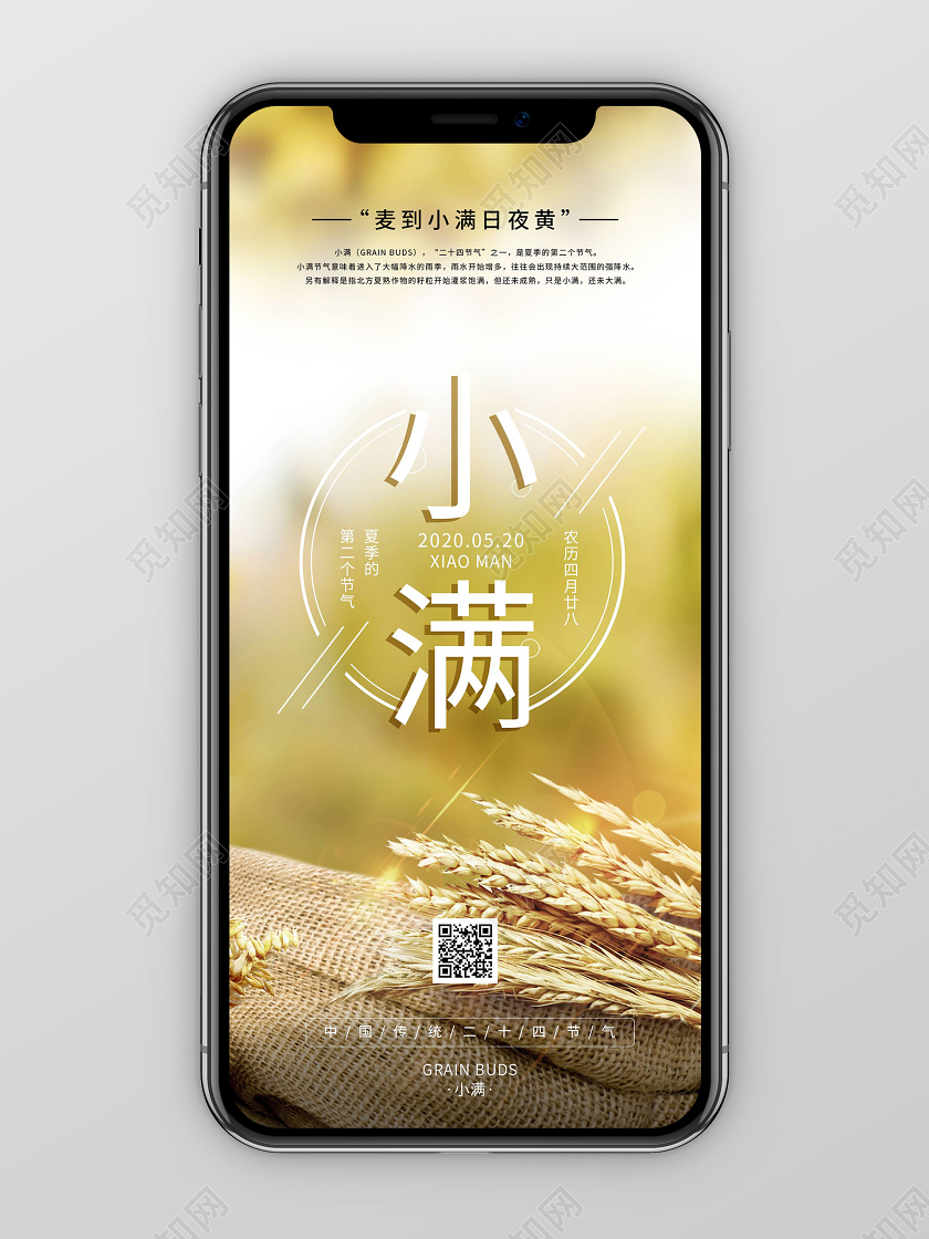 简约清新麦子二十四节气小满手机海报