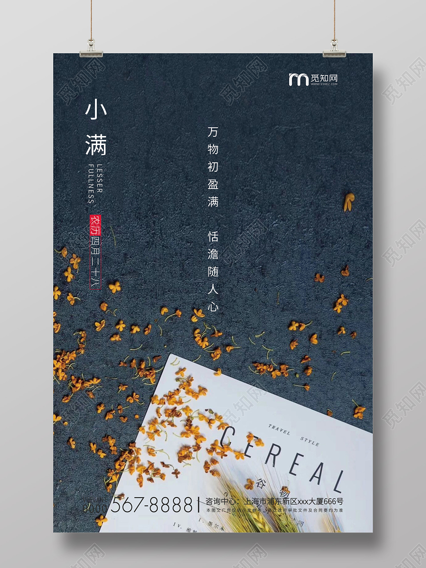 简约小满节气二十四节气房地产海报