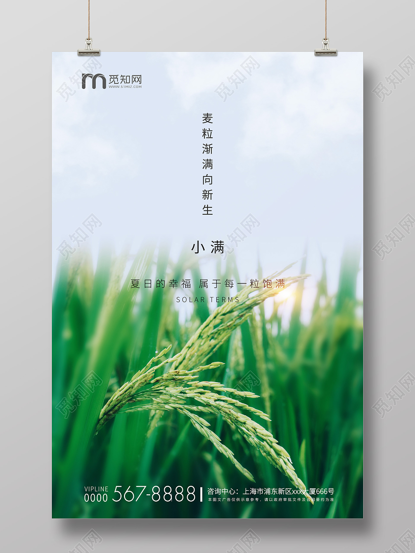 绿色简约小满节气二十四节气房地产海报
