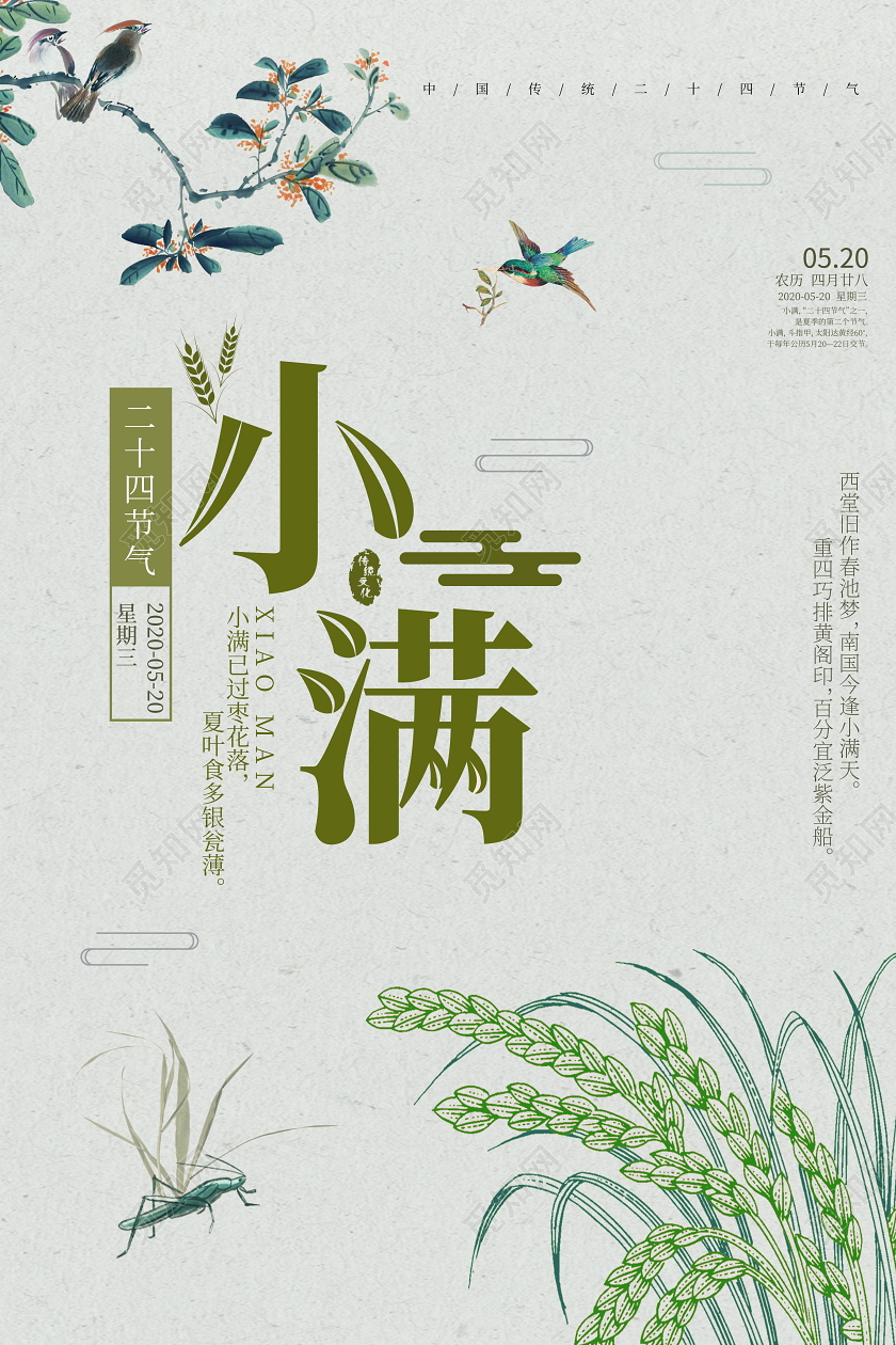 中国传统二十四节气之小满海报二十四节气小满