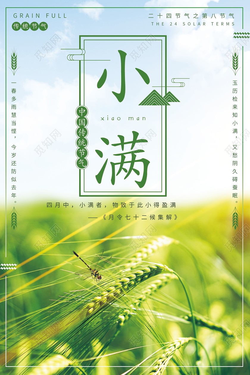 小清新二十四节气24节气小满海报二十四节气小满
