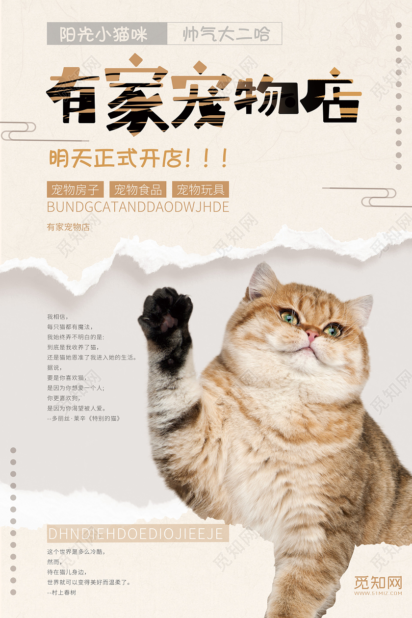 可爱猫咪撕碎纸张清新宠物美容有家宠物店促销海报