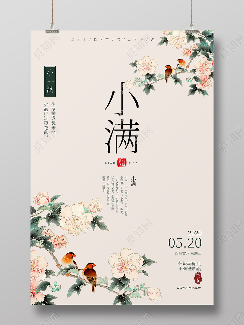 小清新二十四节气24节气小满牡丹花开海报二十四节气小满