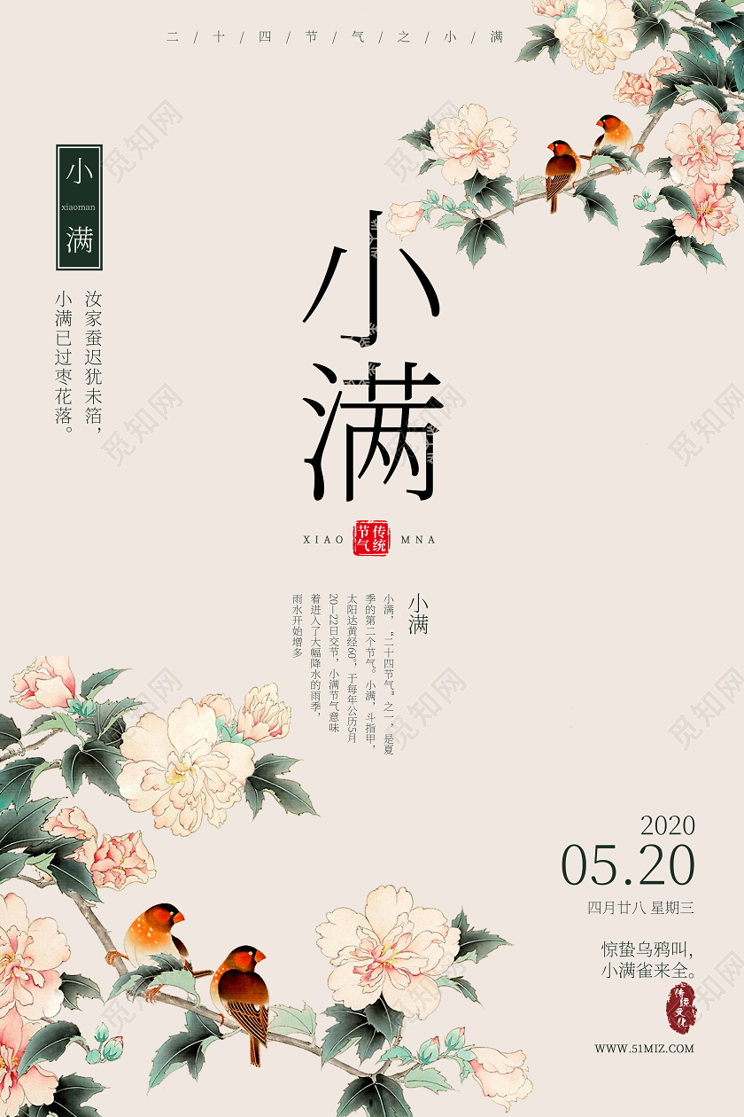 小清新二十四节气24节气小满牡丹花开海报二十四节气小满