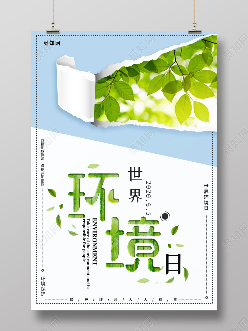 简约大气世界环境日海报
