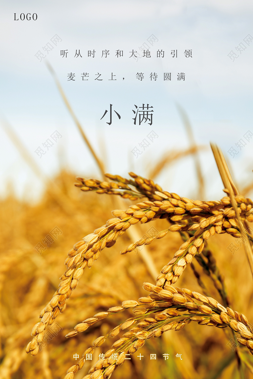 中国传统二十四节气小满节气大气简约海报