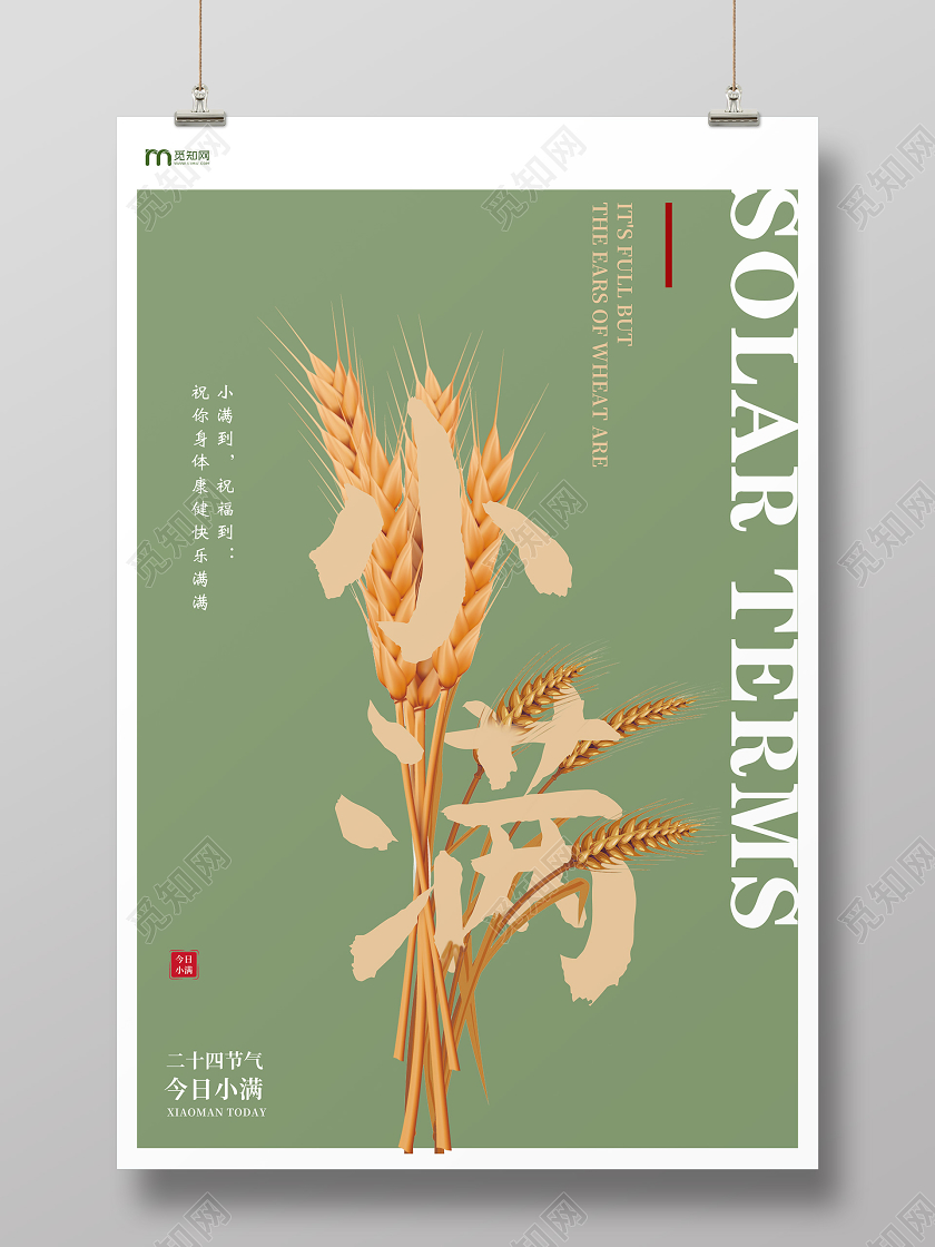 简约植物粮食小满节气海报二十四节气小满
