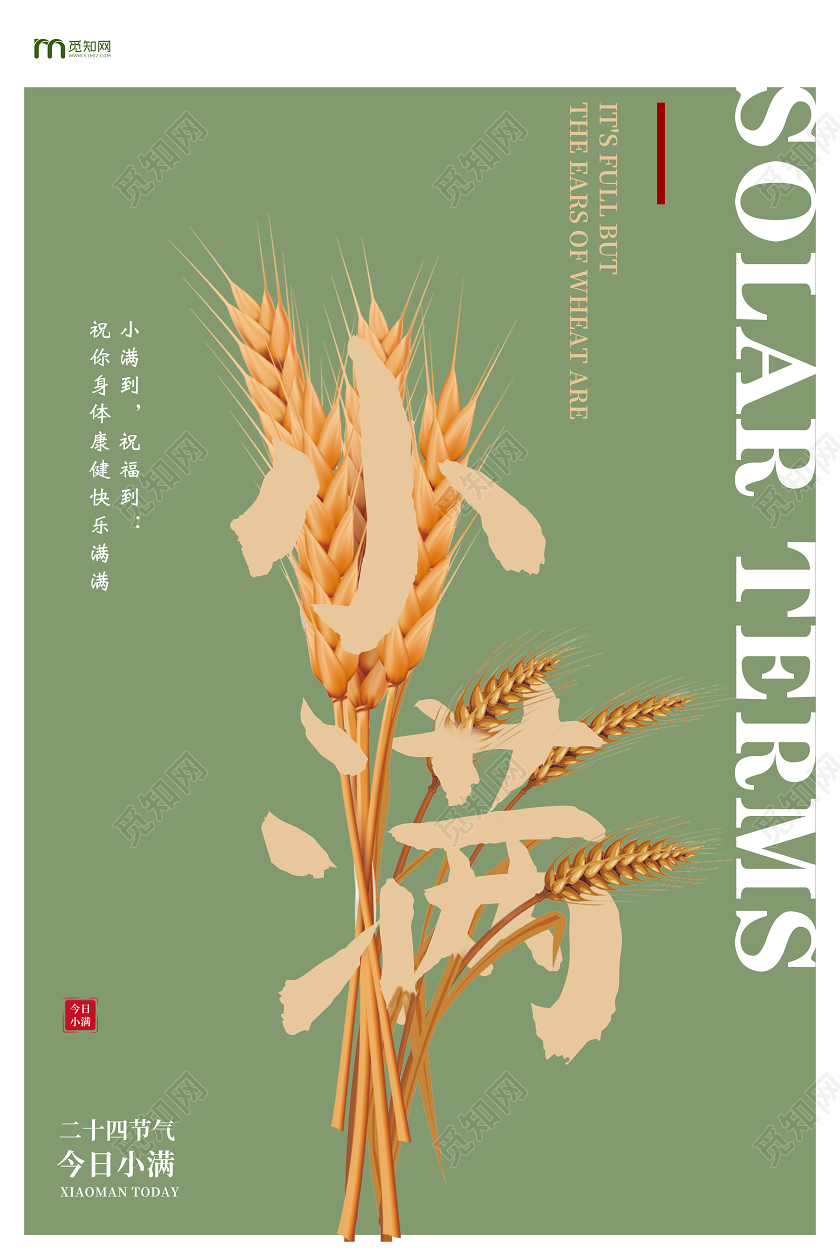 简约植物粮食小满节气海报二十四节气小满