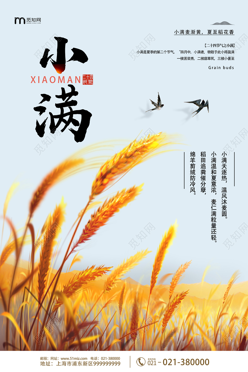 黄色简约小满二十四节气小满海报