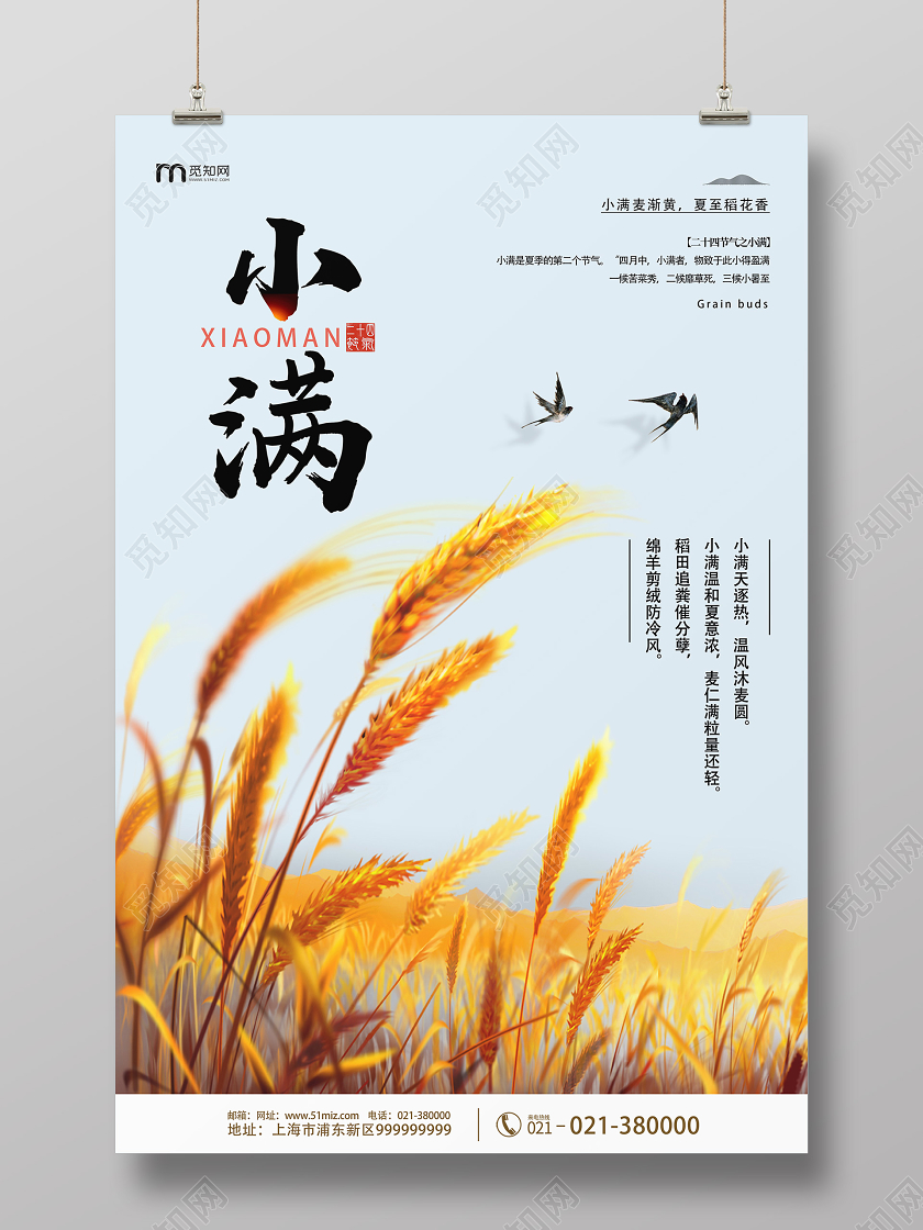 黄色简约小满二十四节气小满海报