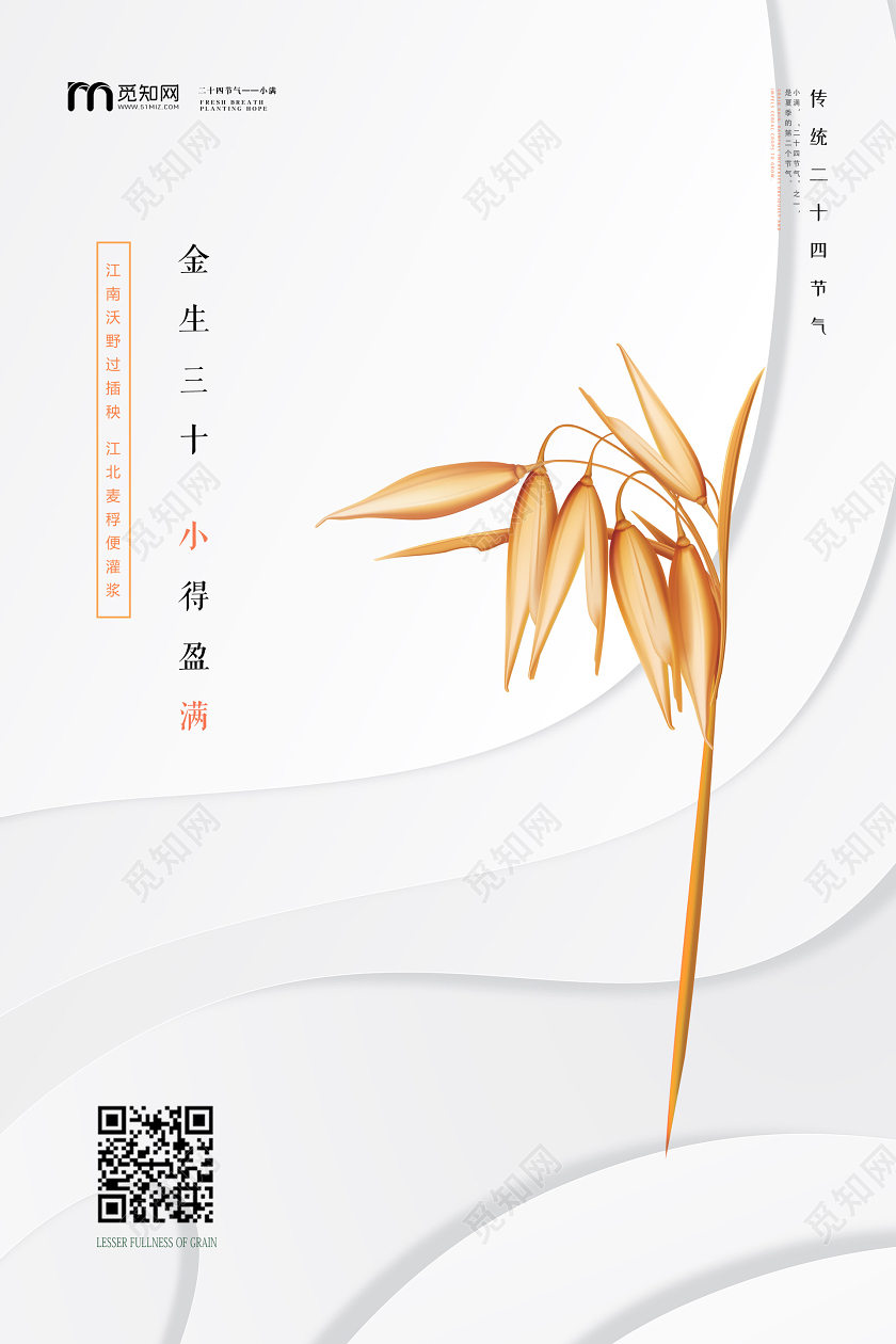 白色简约麦穗小满传统二十四节气海报