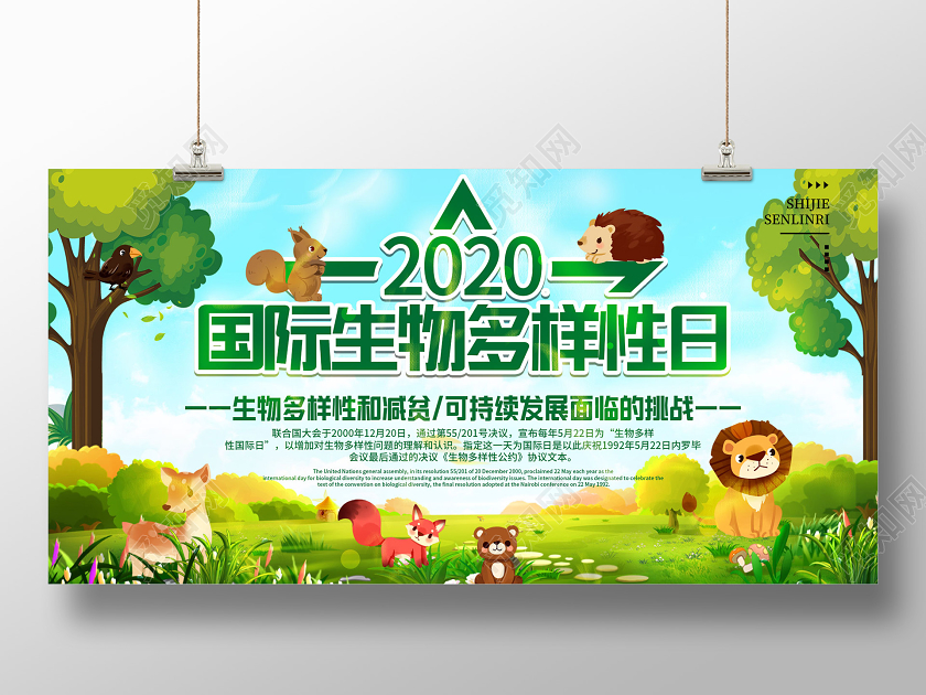 绿色卡通2020国际生物多样性日展板