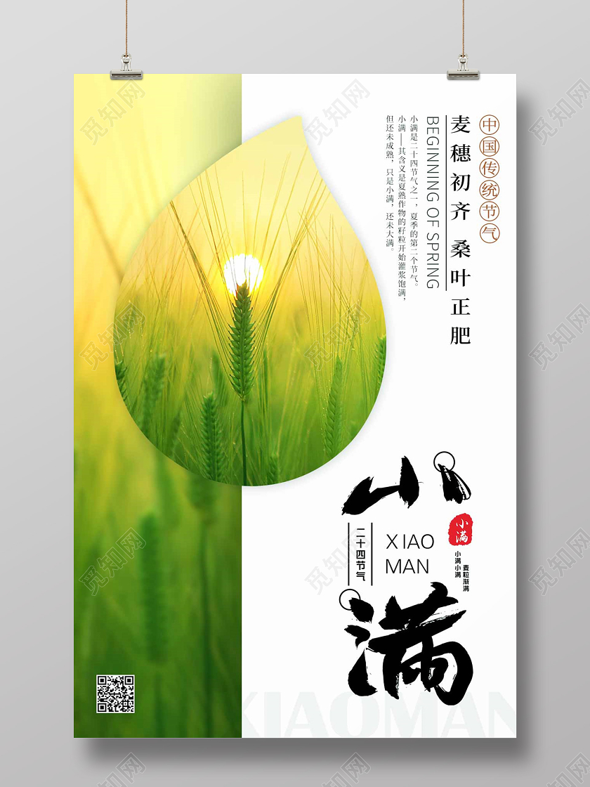 创意简约实拍风格中华传统二十四节气小满节气宣传海报