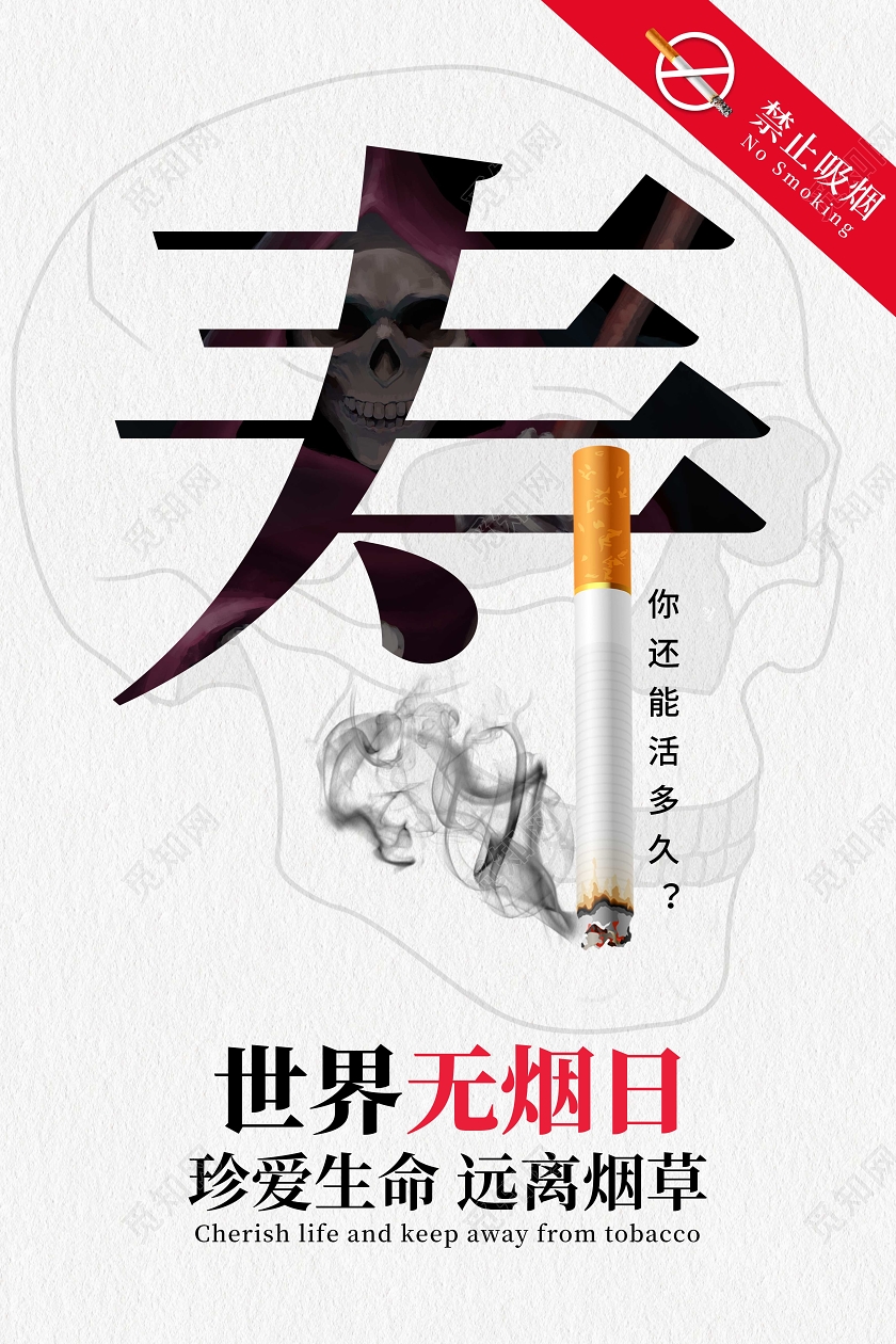 简约531世界无烟日禁烟海报设计