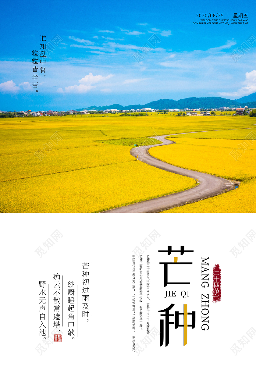 简约大气二十四节气芒种海报