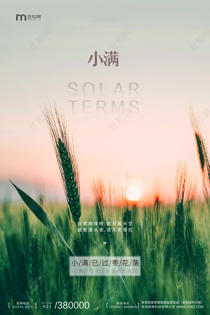 简约小麦麦穗夕阳小满节气二十四节气节日海报二十四节气小满
