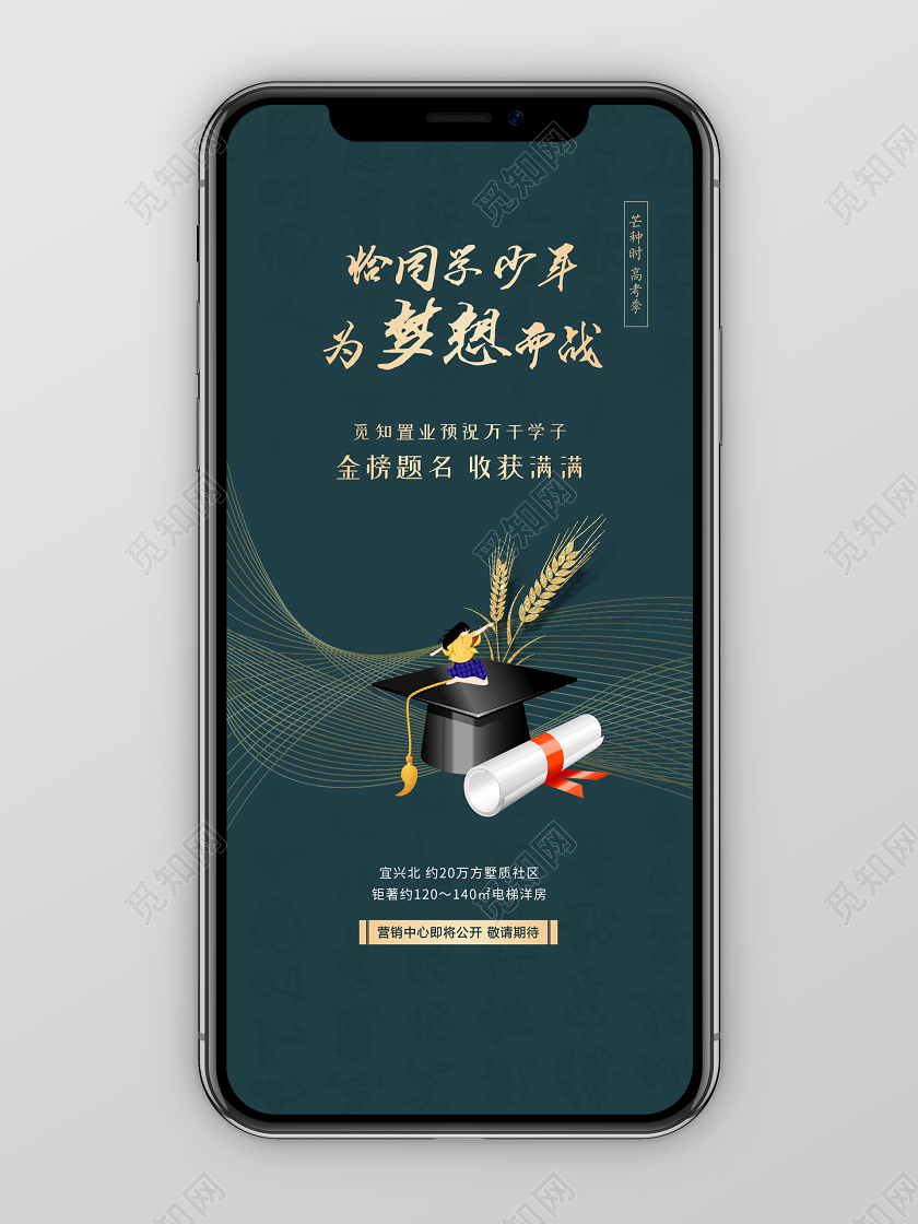 简约大气地产恰同学少年为梦想而战芒种节气手机海报二十四节气芒种