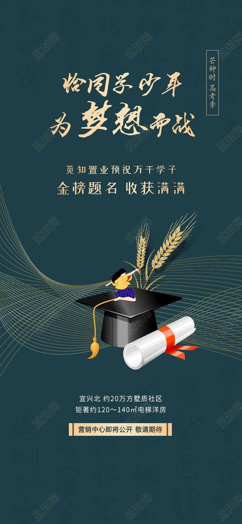 简约大气地产恰同学少年为梦想而战芒种节气手机海报二十四节气芒种