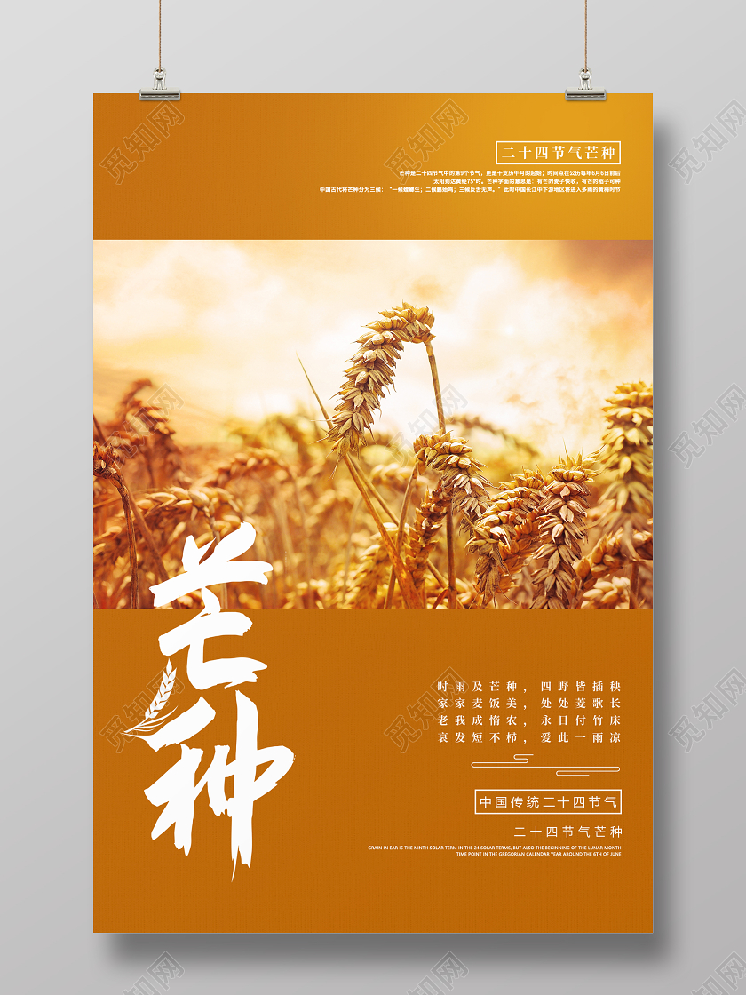黄色简约清新中国传统二十四节气芒种节气海报