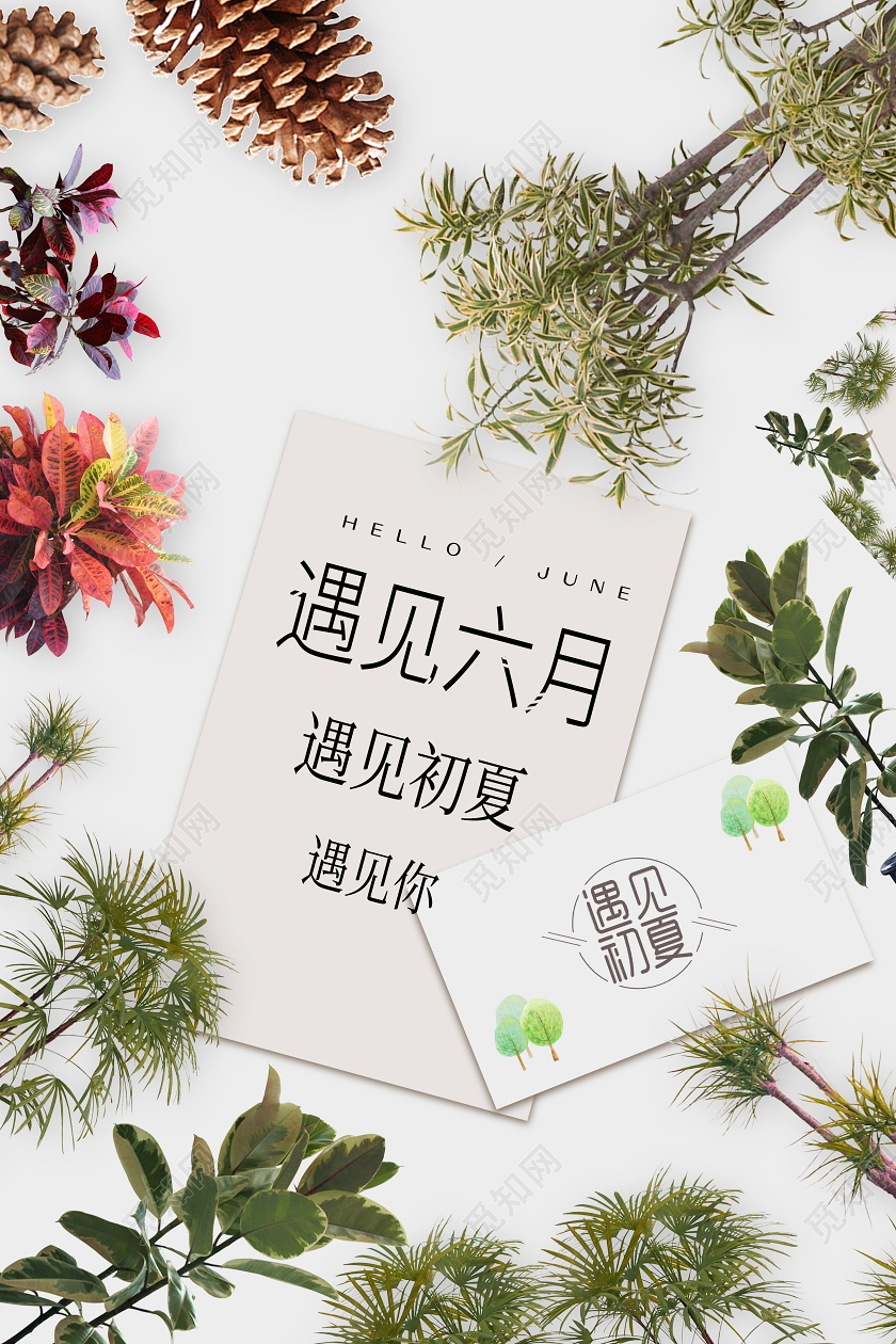 遇见六月遇见初夏遇见你海报6月六月你好