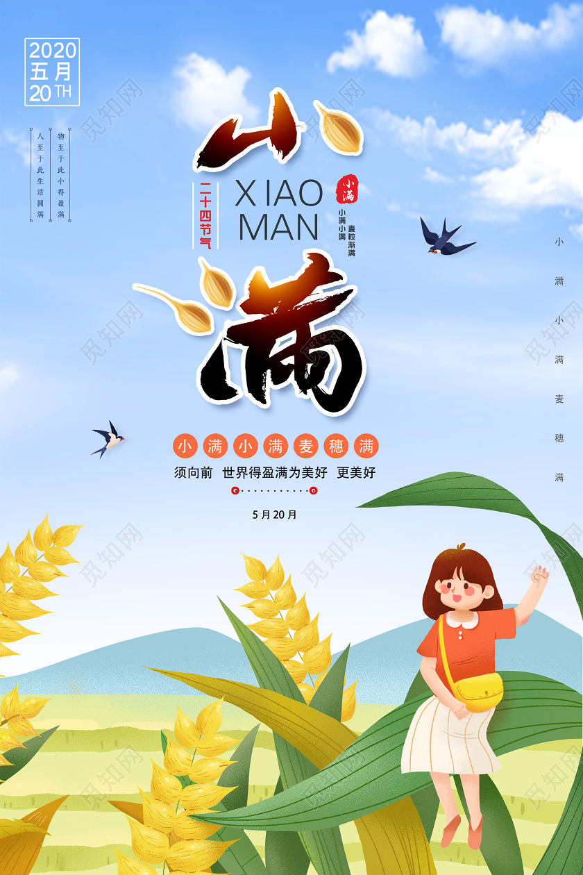 小满插画24节气中国传统宣传海报