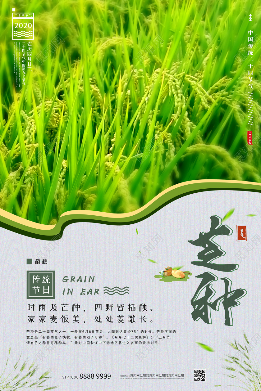 绿色小清新大气芒种二十四节气海报二十四节气芒种