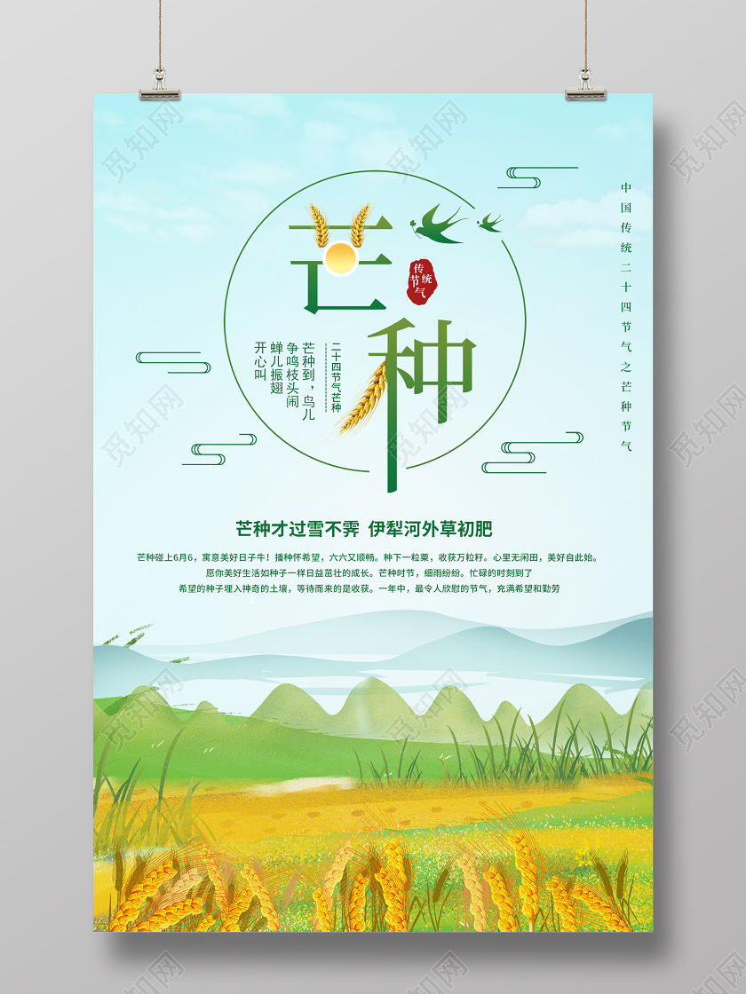 蓝色清新简约中国传统二十四节气芒种节气海报