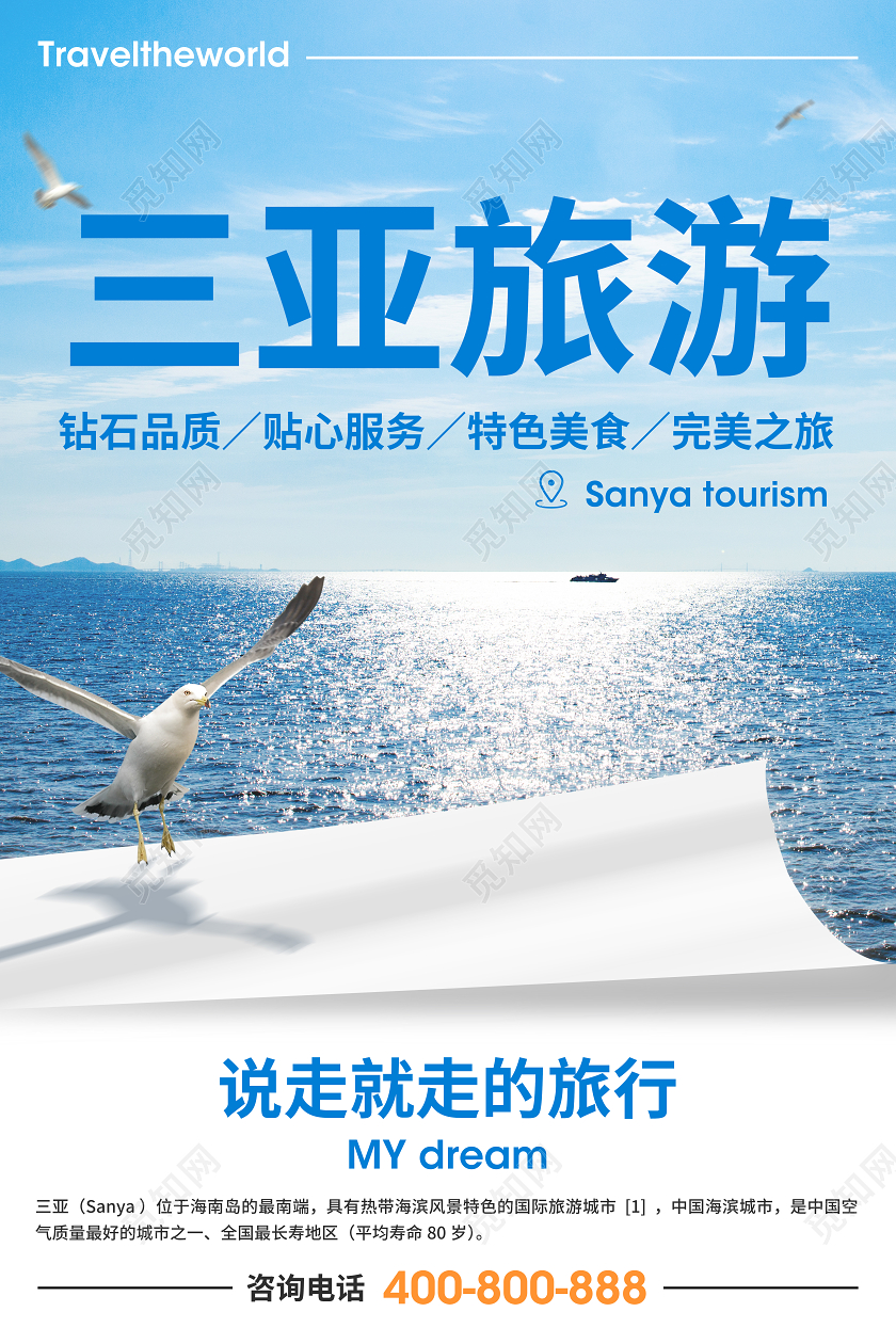 清新淡雅淡蓝色三亚旅游海报盛夏海鸥海报