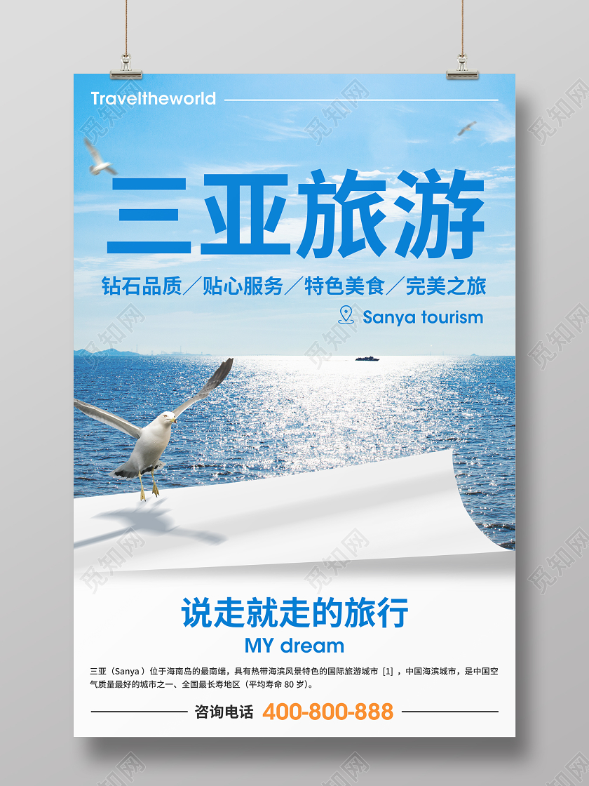 清新淡雅淡蓝色三亚旅游海报盛夏海鸥海报