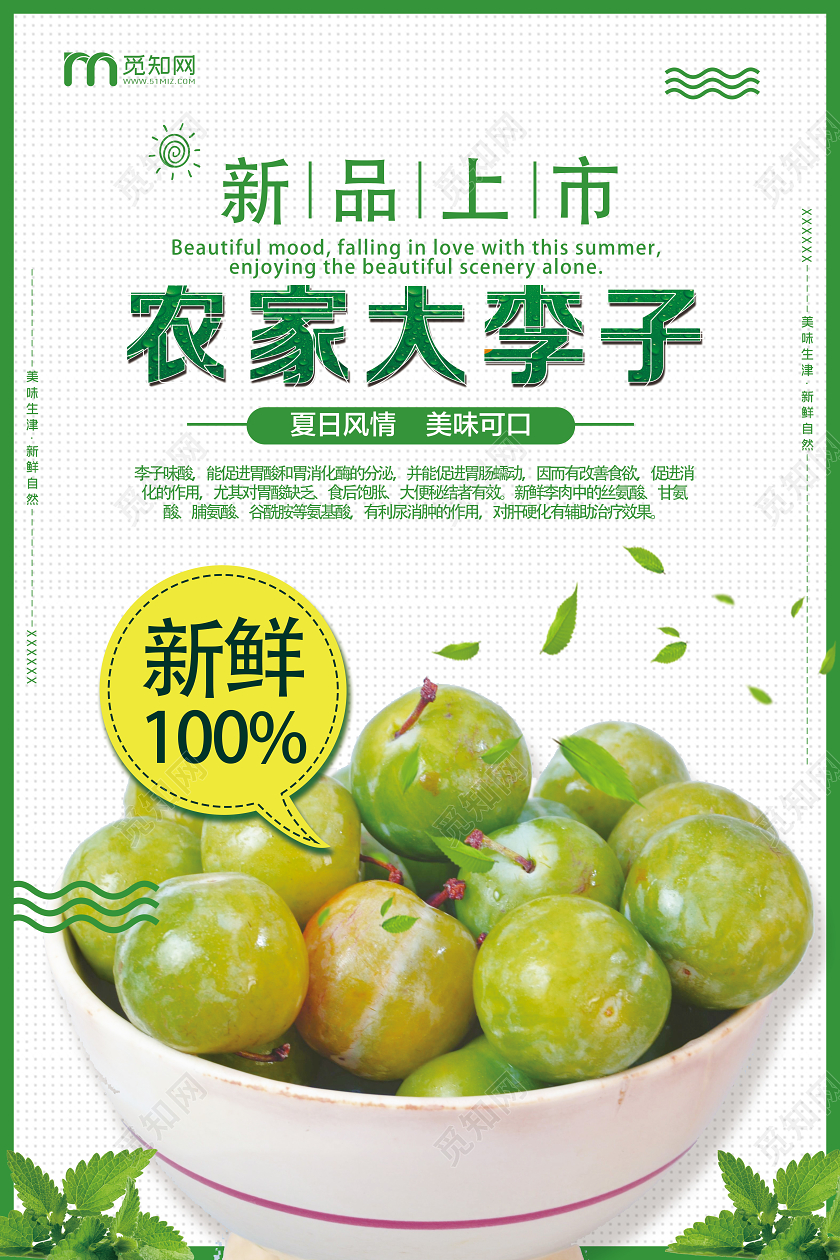 绿色简约农家大李子水果李子海报