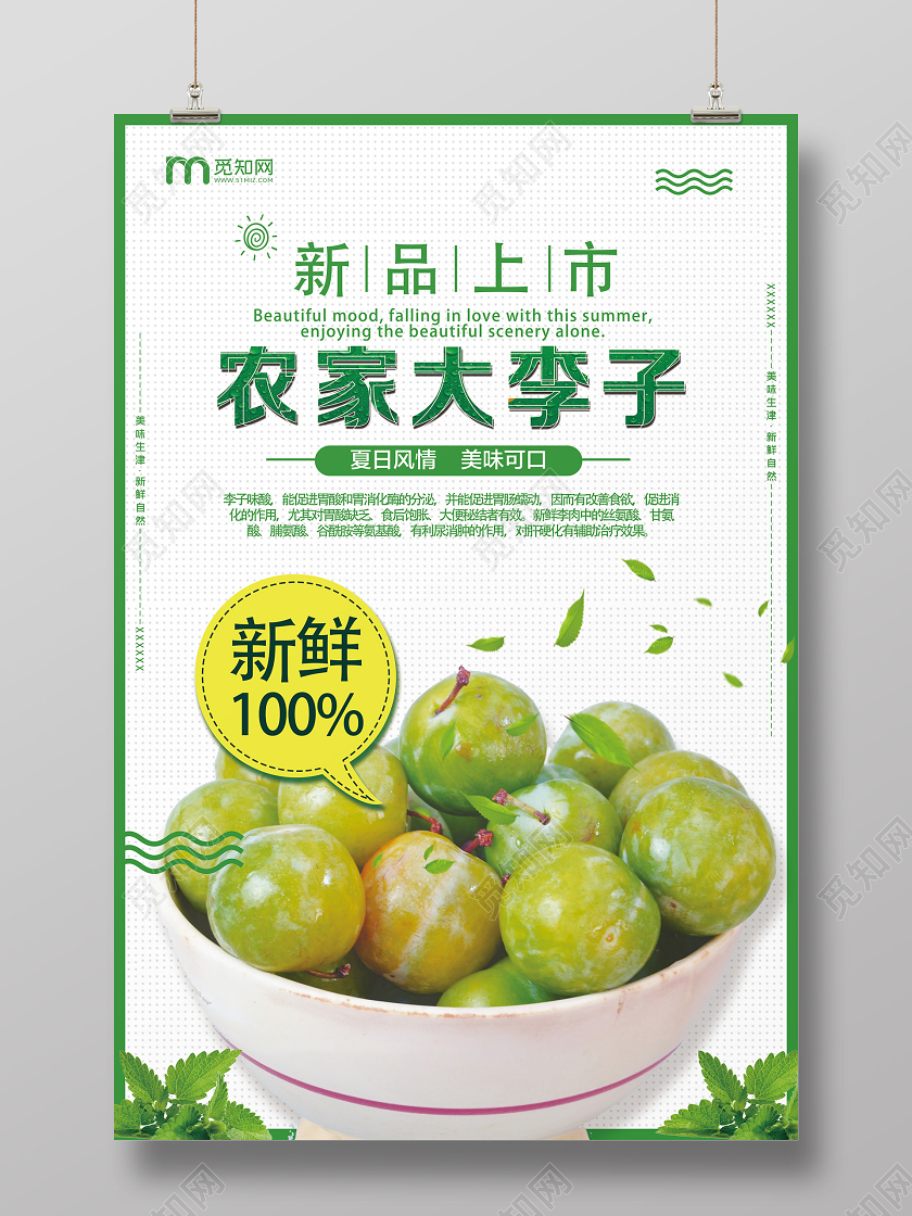 绿色简约农家大李子水果李子海报