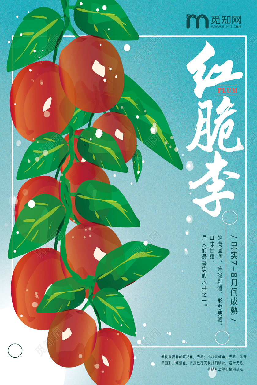 蓝色手绘红脆李水果李子海报