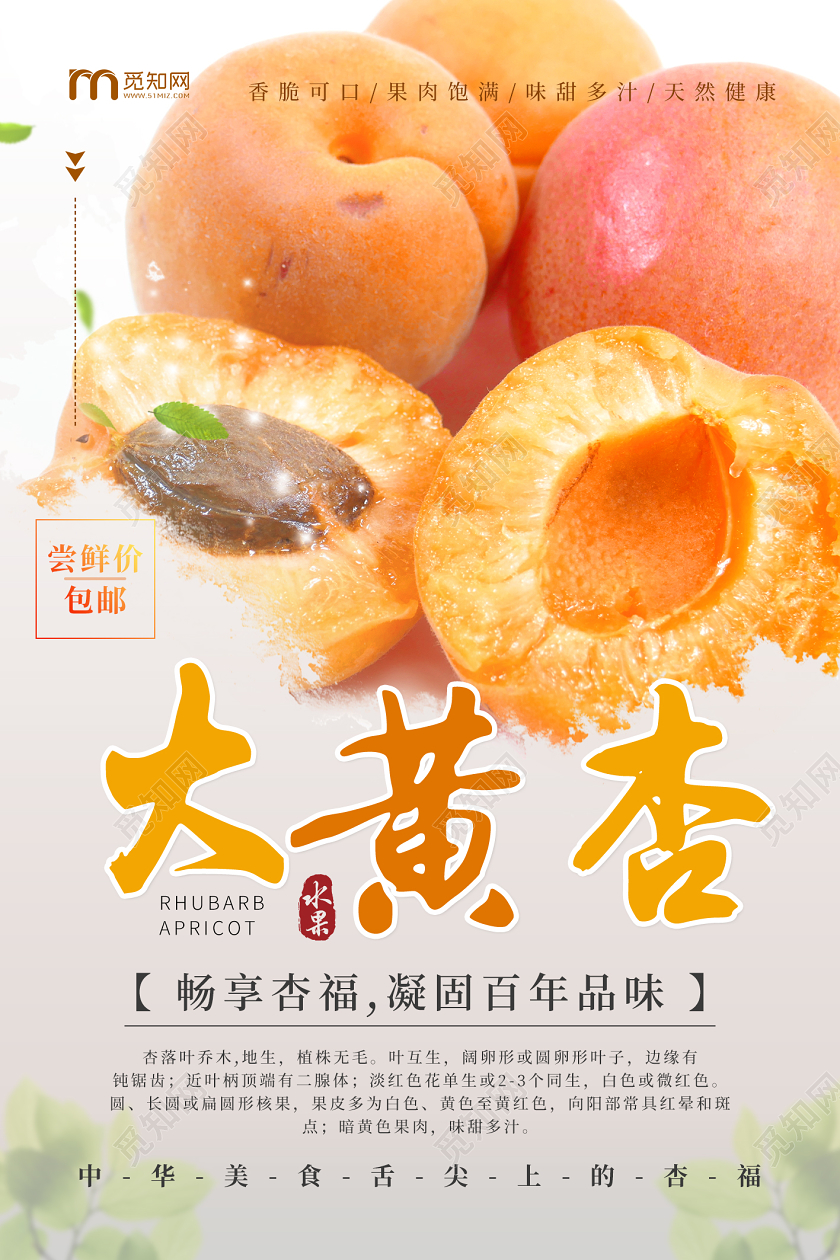 白色简约水果杏大黄杏促销海报