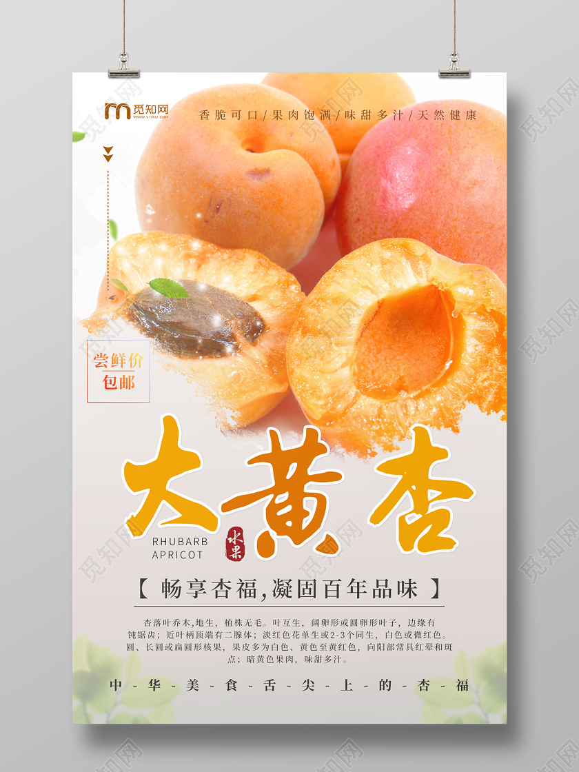 白色简约水果杏大黄杏促销海报