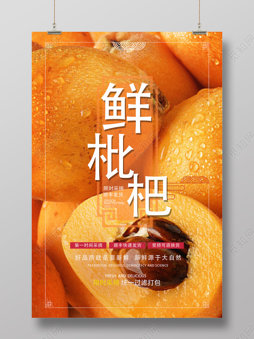 黄色实物鲜枇杷水果枇杷海报