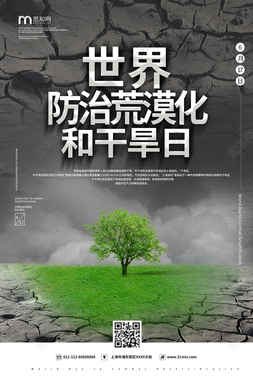 简约大气灰色世界防治荒漠化和干旱日宣传海报